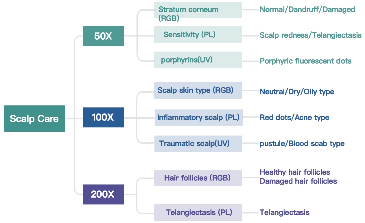 Skin Type Evaluation 2