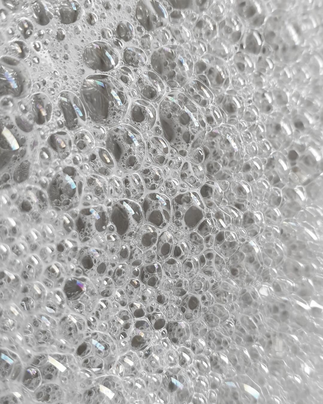 Nourishing Shampoo alternate